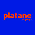 Platane image