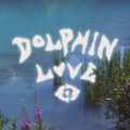 dolphin love image