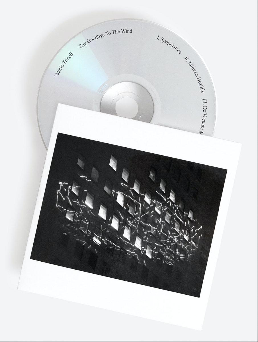 Say Goodbye To The Wind | Valerio Tricoli | Shelter Press