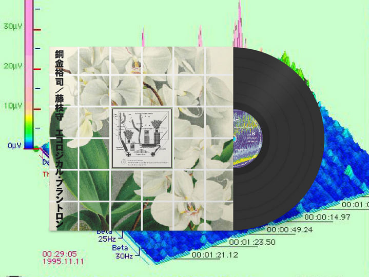 エコロジー Plant Physiology and Development 7th edition | 9780197577240
