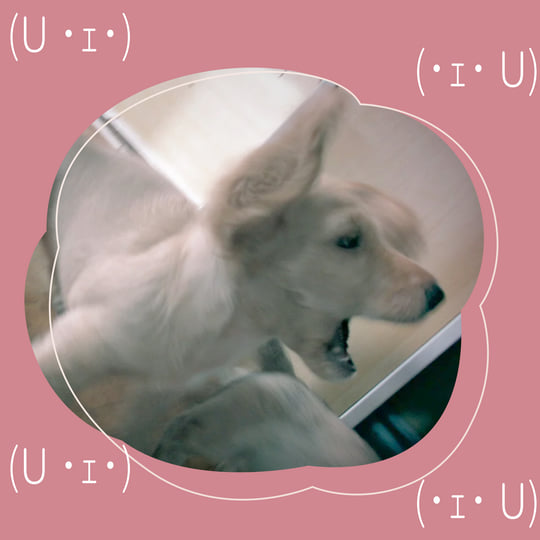 HPN [AT-029] | 夕方の犬(U ・ｪ・)