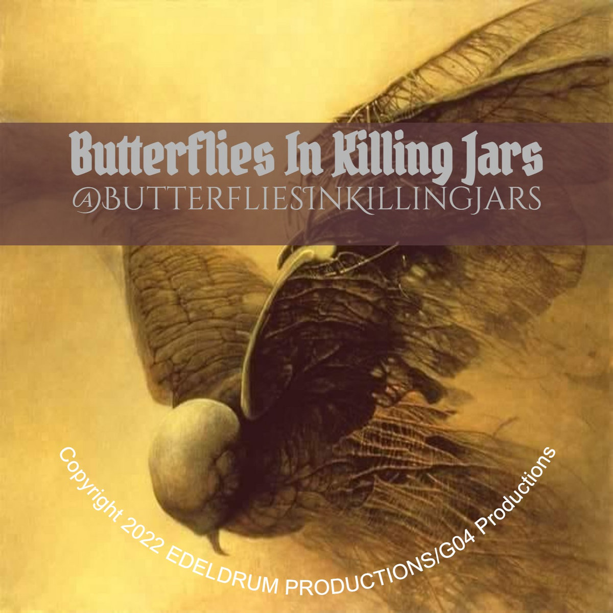 Butterflies In Killing Jars Butterflies In Killing Jars Paul D