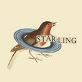 Starling image
