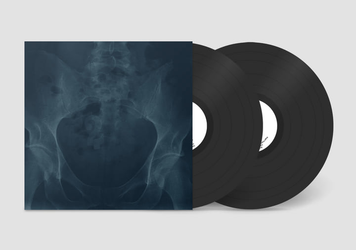 人気ブランドを Antipodean Anomalies Records Ear Left | 2 その他