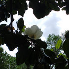 baa055 thumbnail