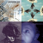 伊2LP Don Carlos Echoes Of Italy Early 90s House Vibes Vol 2: The Bi SEJFLP002 Space Echo Records /00660 Echoes Of Italy Vol.2 - Early 90's House Vibes - The Birds
