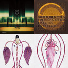 Endangered Species Remixed | Nickodemus