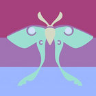 Moff thumbnail