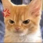 thyett thumbnail