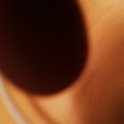 scandrino thumbnail