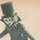 Darcy Bingly thumbnail