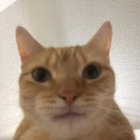 kziki thumbnail
