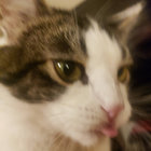 j_ooparts thumbnail