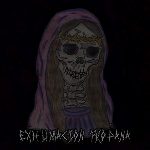Cover of Exhumacion Profana