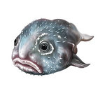 glibberglobber thumbnail
