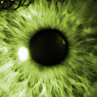 Purgatoriant thumbnail