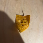 jesse beagley thumbnail