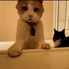 deb thumbnail