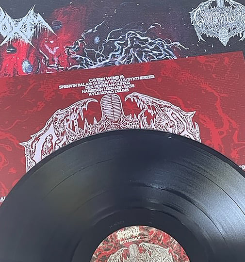Communion of Corrupted Minds | Noxis/Cavern Womb | Rotted Life
