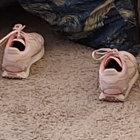 ymsle thumbnail
