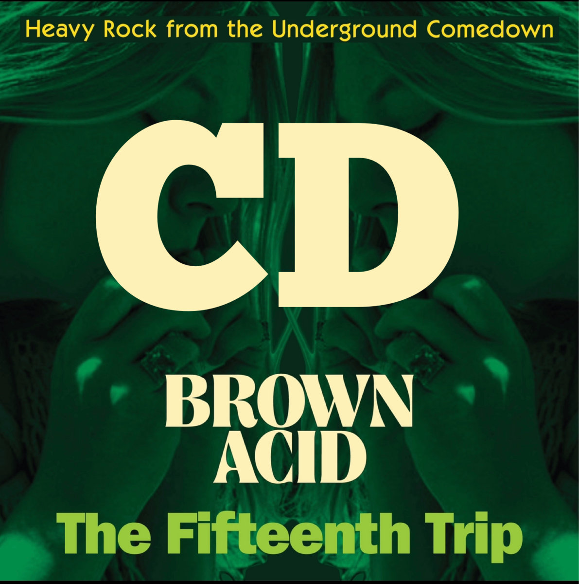 Brown Acid - The Fifteenth Trip | RidingEasy Records