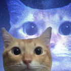 flaccidpancake69 thumbnail