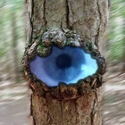 Stephen Headrick thumbnail