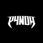 P4NDA thumbnail
