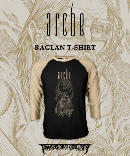 Transitions | ARCHE | Arche