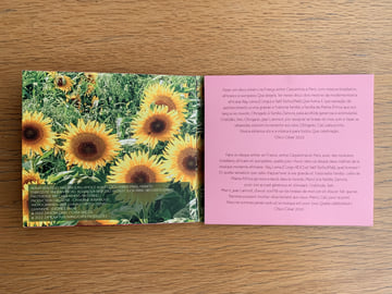 Vestido De Amor (CD), image 2
