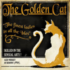 HavenTheCat thumbnail