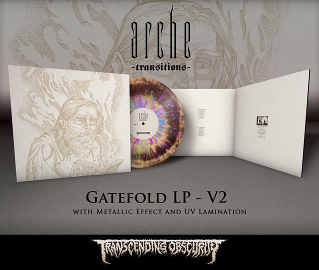 Transitions | ARCHE | Arche