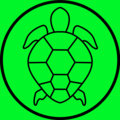 Sun Turtle Records image