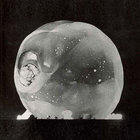 rinosphere thumbnail