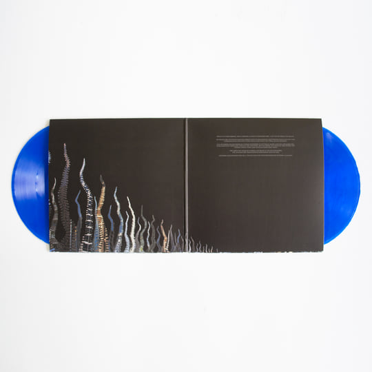 City of Echoes (Deluxe Edition) | Pelican