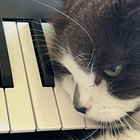 pussy thumbnail