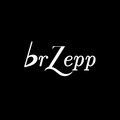 Zepp image