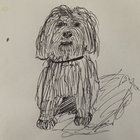 darcylewis1998 thumbnail