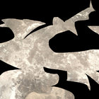 zoraArose thumbnail