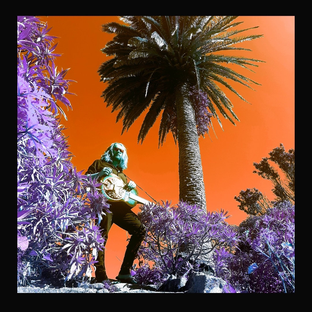 NoëL Dashwood Noël Dashwood