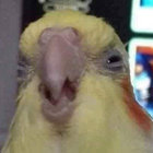 jcroley0273 thumbnail