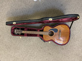 Hannah's Guild M120e acoustic guitar photo 
