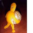 milkormogus thumbnail