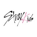 Stray Kids image