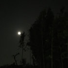 fukurou thumbnail