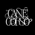 Cane Corso Records image