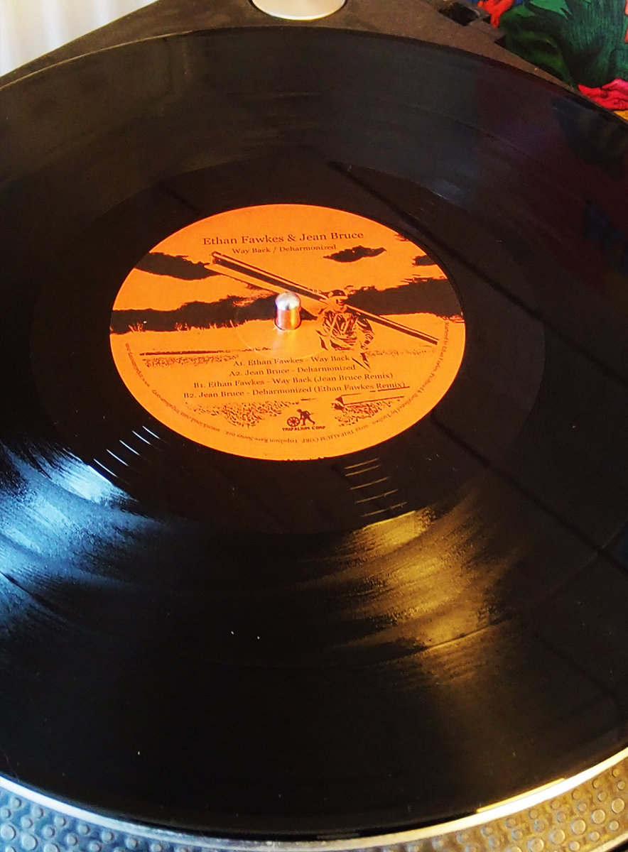 【 Ron Van Dongen: A. angustatum】サイン入 Ron Van Dongen: A. angustatum】サイン入