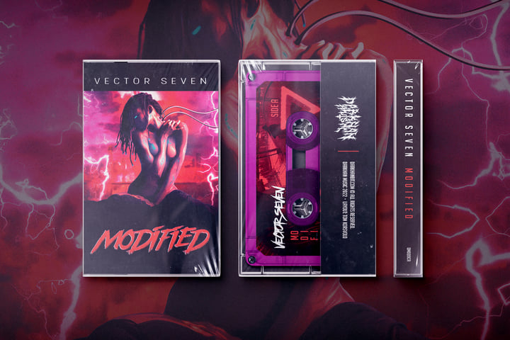 Modified | Vector Seven