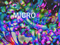 micro image