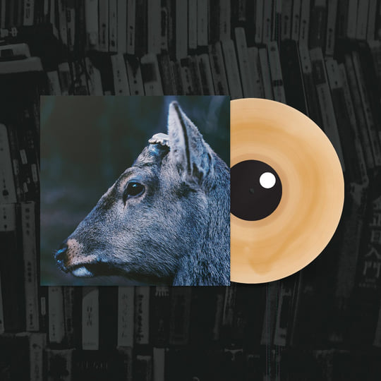 the book about my idle plot on a vague anxiety | toe